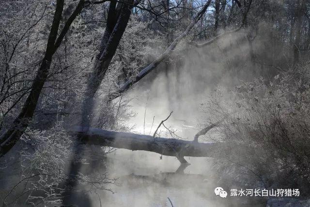 重返战场